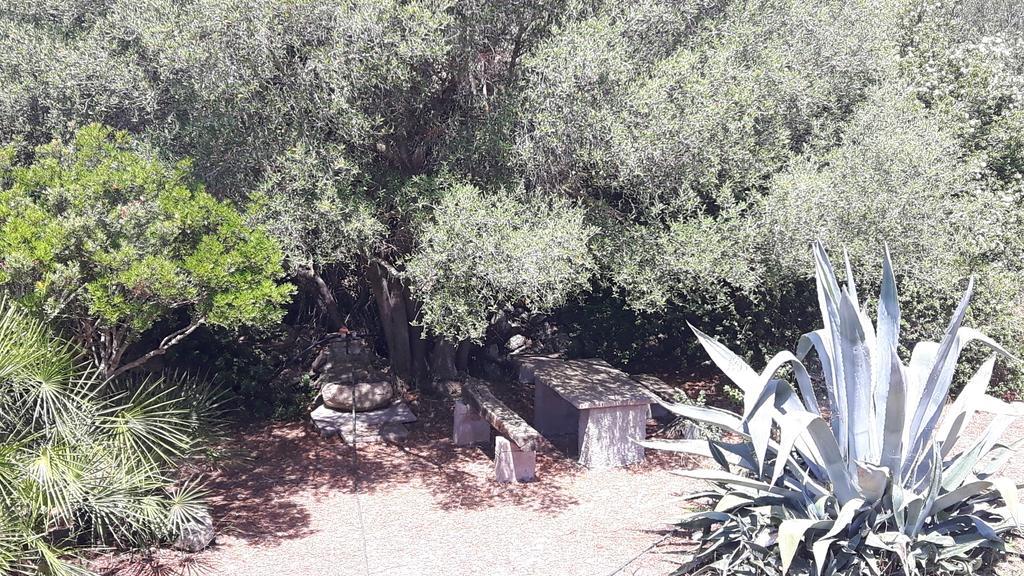 Villa Pala Venalza Olmedo Buitenkant foto