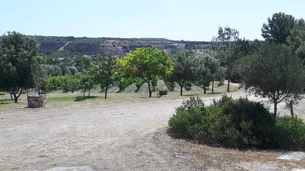 Villa Pala Venalza Olmedo Buitenkant foto